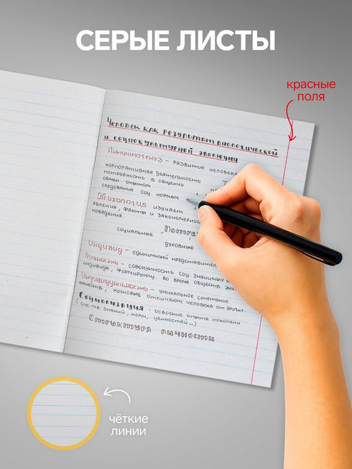 Набор тетрадей, 96 листов в линейку, Calligrata «Дикие кошки», серые листы, 4 штуки