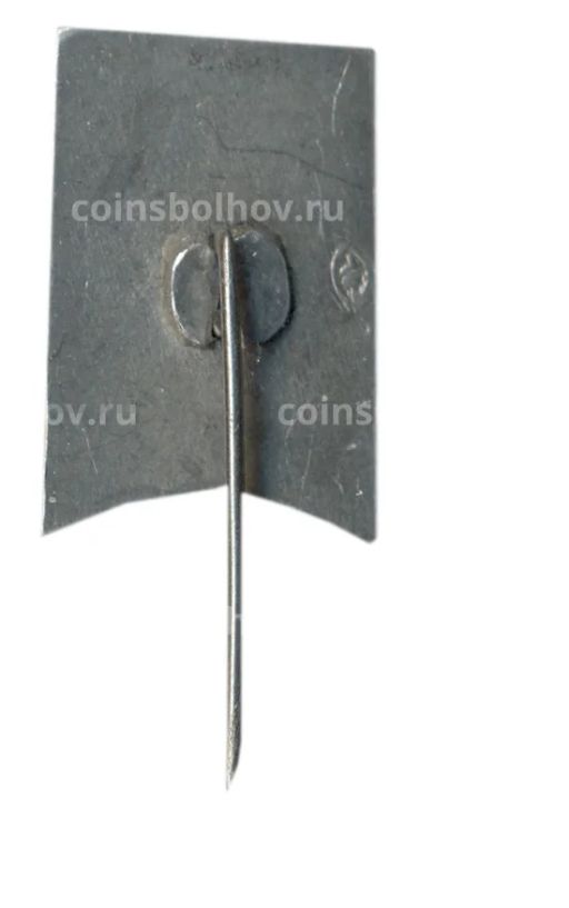 Значок Вильнюс