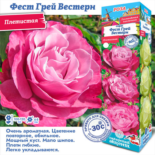Роза Ферст Грей Вестерн (Плетистая) 1шт