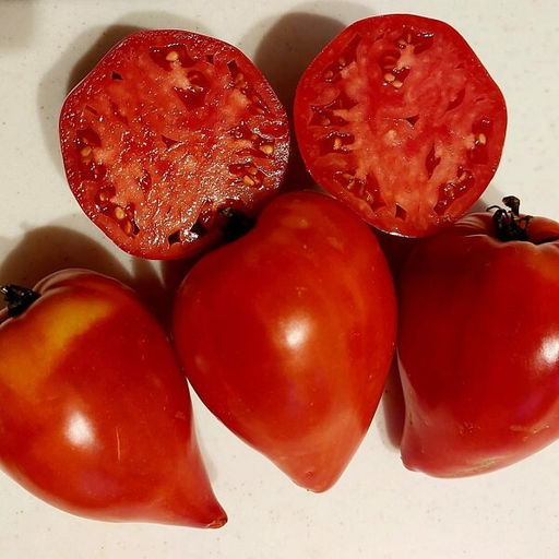 7021Т Томат Заилийский Алатау 10шт