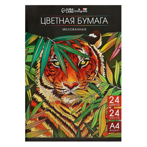 Бумага цветная А4, 24 листа, 24 цвета, мелованная 80 г/м2, на скобе - Calligrata фото 2