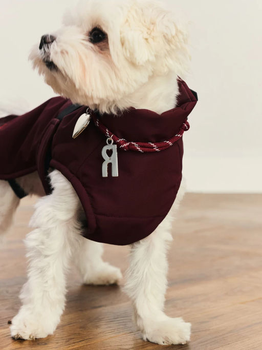 Ошейник для животных / Zarina