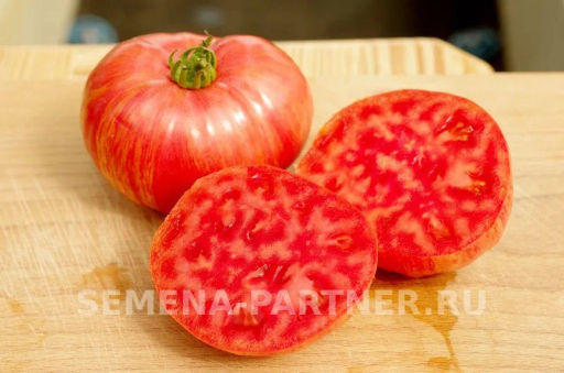 Томат Винтаж - Партнер фото 8