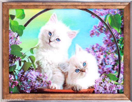 Картина 5D 30х40 150 Белые котята / KS1912-1 / - Галеонтрейд фото 2