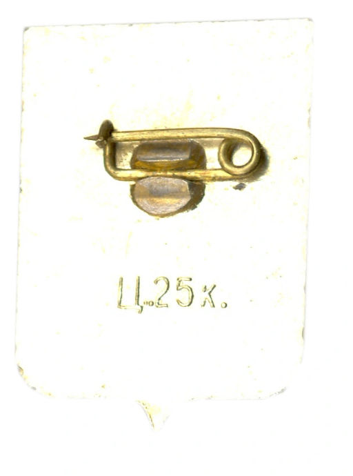 Значок Кострома