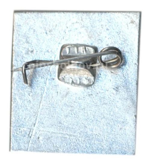 Значок Саратов