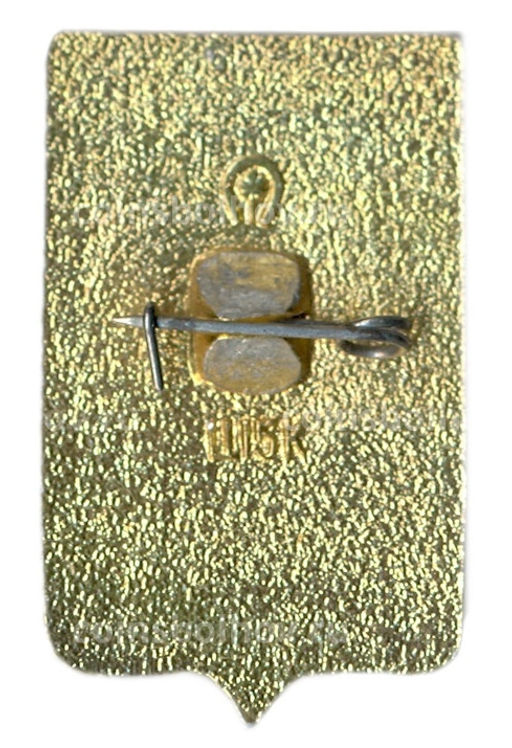 Значок Грозный