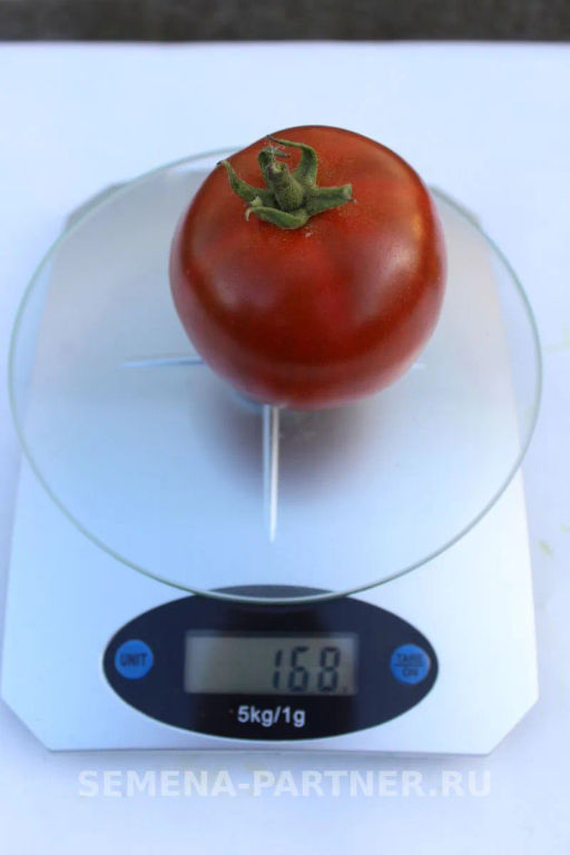 Томат Карен - Партнер фото 4