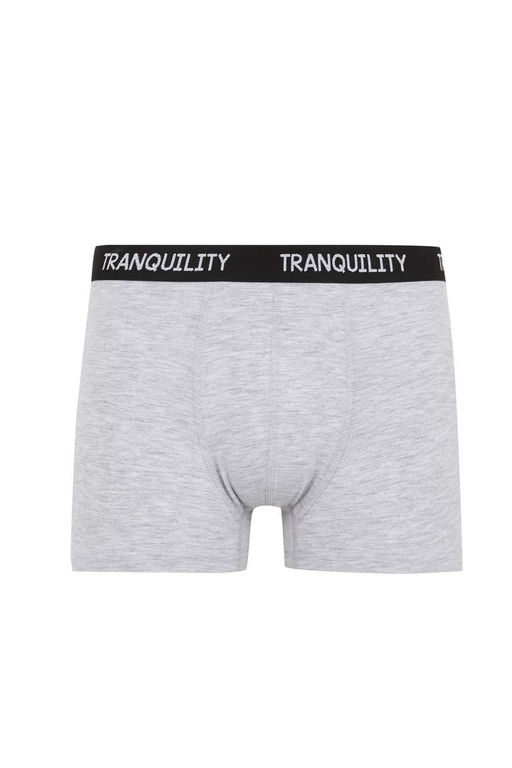 Комплект боксеров стандартной посадки (3 шт.) - Defacto фото 9