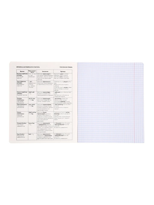 Комплект 12 предметных тетрадей 48 листов, справочная информация, 60 г, Пастель