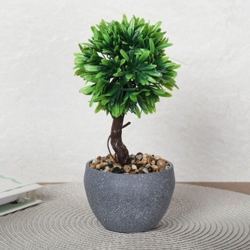 Цветочная композиция Зелень самшит 22 см / 9090-11 /уп 12/72/ - Галеонтрейд фото 8