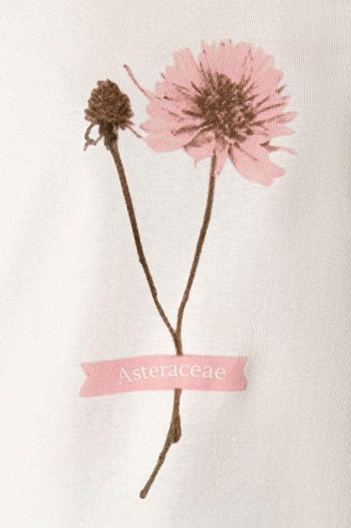 Арт. 31159 Футболка женская 44-52 (5 шт) Цвет:молочный - Калинка фото 9