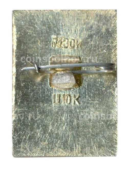 Значок Кострома