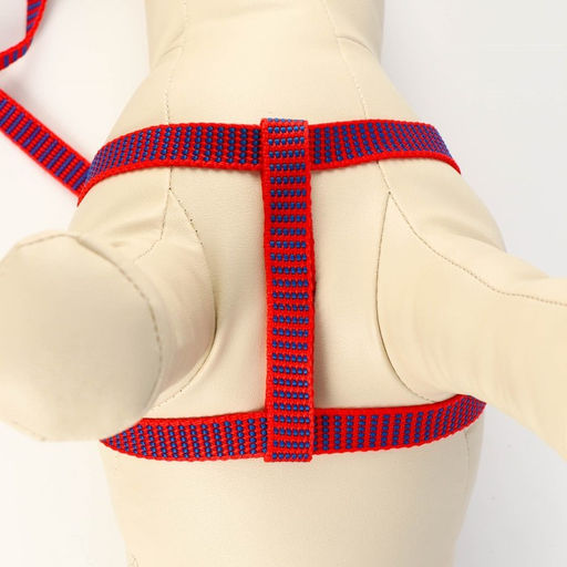 Комплект амуниции рельефный, поводок 120 х 1,5 см, ОГ 36-49 см, красно-синий - Пижон фото 5