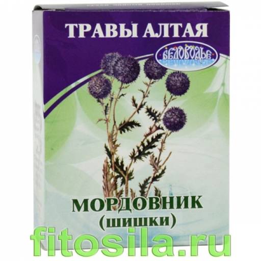 Мордовник, шишки, 20 г (коробочка), чайный напиток