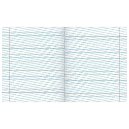 Цена за 200 шт. Тетрадь 12 листов в частую косую линейку «Зелёная обложка», плотность обложки 90 г/м²