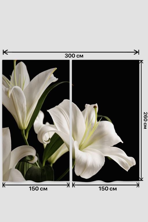 Фотошторы 10837