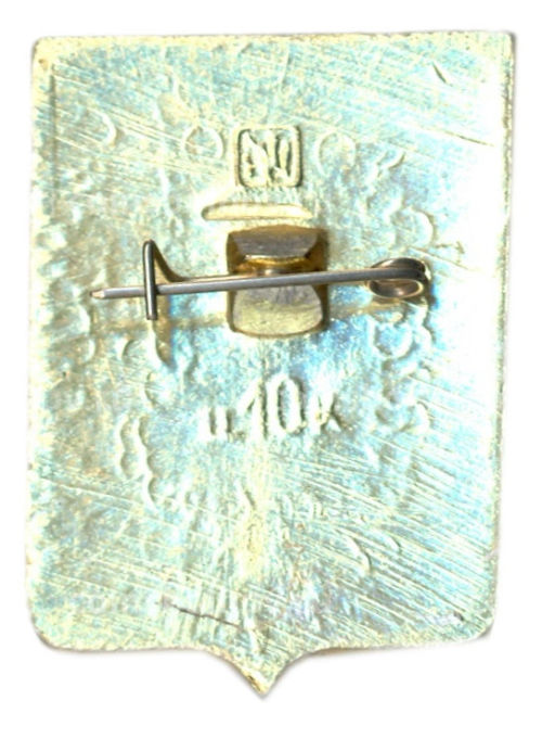 Значок Острогожск