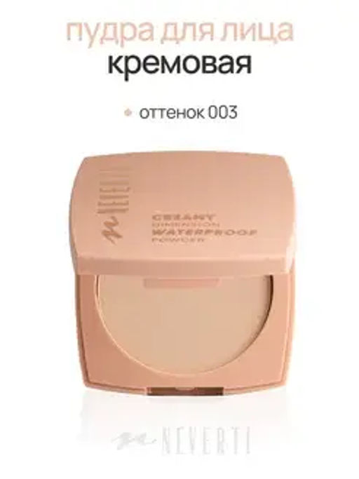 Neverti NP202 Пудра водостойкая "Waterproof Powder" тон 003 neutral 10 гр
