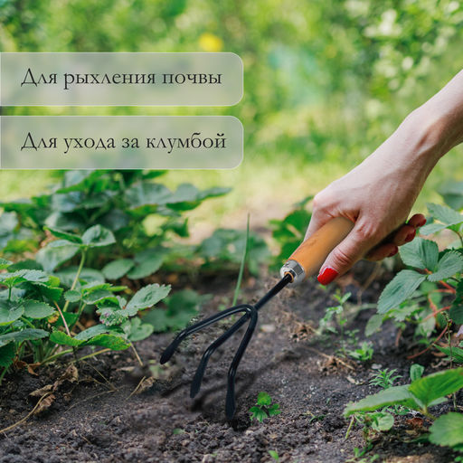 Цена за 4 шт. Рыхлитель, длина 25 см, деревянная ручка, Greengo