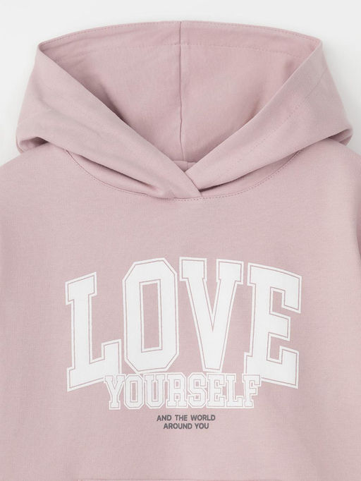 КР 302676-1/розовый лед джемпер (худи) для дев