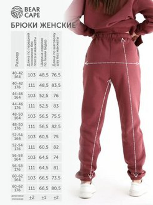 Брюки женские Bearcape с начёсом Ф3 (брусника)  фото 6