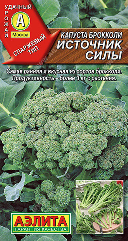 6025U Капуста брокколи Источник силы 0,3гр