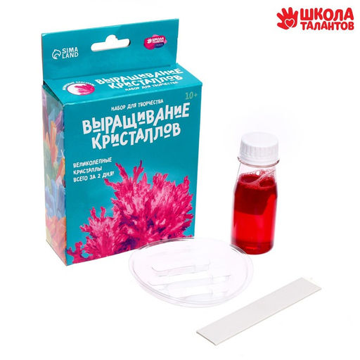Набор для творчества Лучистые кристаллы, цвет малиновый - Школа талантов фото 2