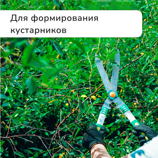 Кусторез, 19 (48 см), с пластиковыми ручками, Greengo фото 6