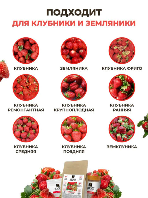 4 шт. ЦИОН для клубники (пролонгированное питание для растений), саше 30г