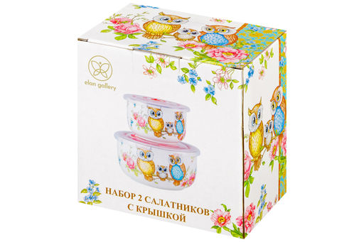 Набор 2 салатников - 13*13*6,5 см 560 мл+10,5*10,5*6 см 260 мл Совушки с плас.крыш. NEW BONE CHINA - Elan gallery фото 27