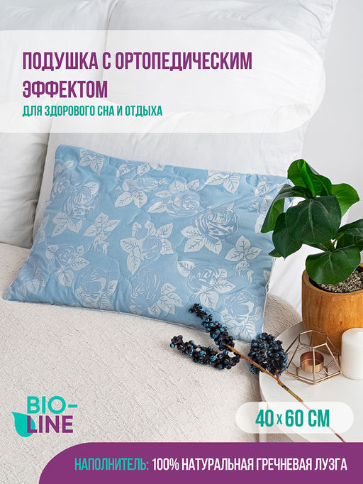 Подушка Bio-Line с лузгой гречихи PG40.60