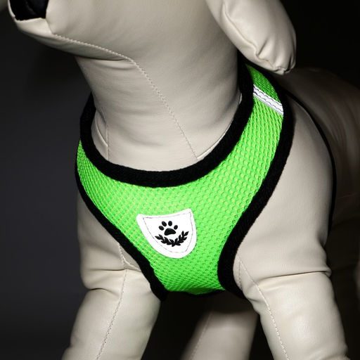 Комплект амуниции с мягкой шлейкой и светоотражающей нашивкой, S, ОШ 24 см, ОГ 28-33 см, зелёны 7149 - Пижон фото 3