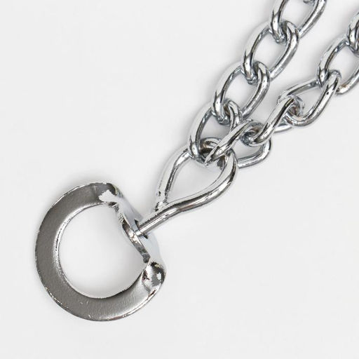 Ошейник - полуудавка строгий, 2,5 мм х 45 см - Пижон фото 3