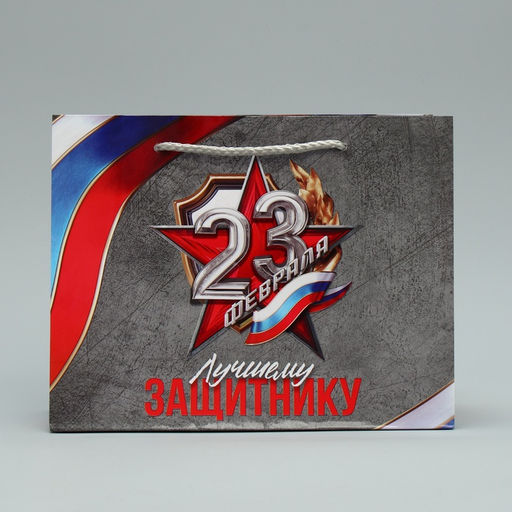 Цена за 2 шт. Пакет подарочный ламинированный, упаковка, «С 23 февраля», MS 23×18×8 см