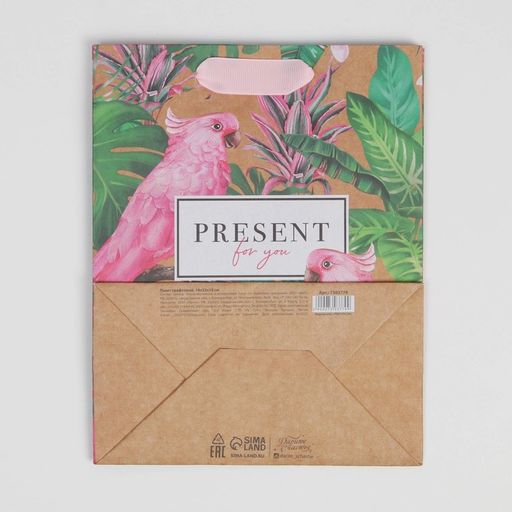 Пакет подарочный крафтовый вертикальный, упаковка, «Present for you», MS 18 х 23 х 8 см