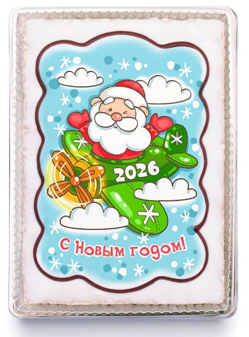 Дед мороз на самолете (600 грамм)