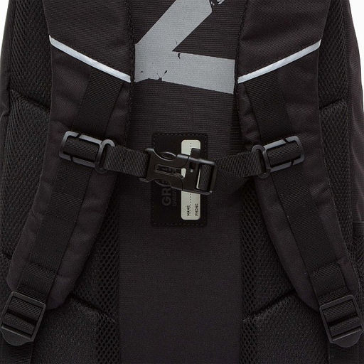 RU-430-9 Рюкзак - Grizzly фото 48