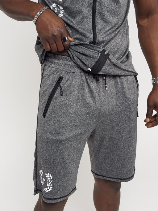 Спортивный костюм летний мужской серого цвета 2265Sr