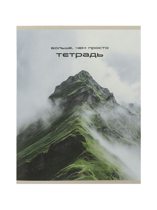 Тетрадь 10 штук, 24 листа в клетку Calligrata «Ландшафт», блок офсет, 5 видов