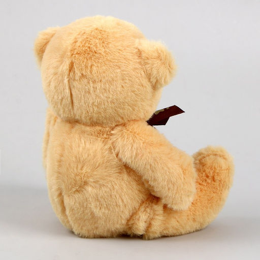 Мягкая игрушка «Мишка», 15 см