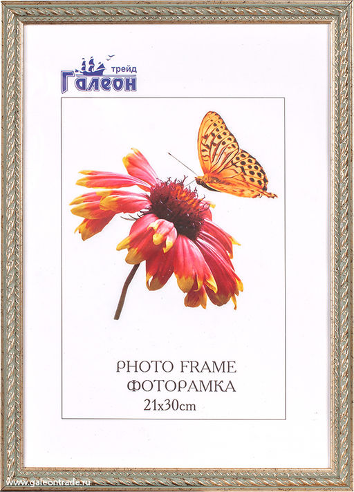 Фоторамка 21х30 / 1606C-86R /уп10 - ГалеонТрейд фото 2