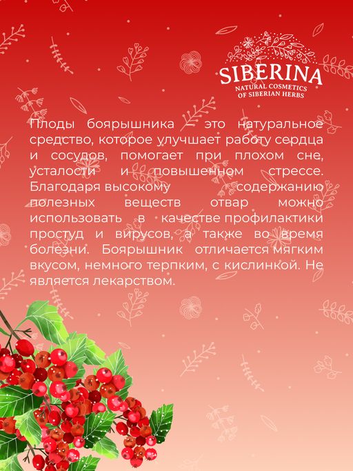 Боярышник (плоды) для укрепления сердечно-сосудистой системы - Siberina фото 7