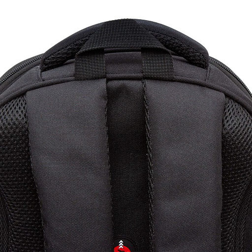 RAz-487-12 Рюкзак школьный - Grizzly фото 23