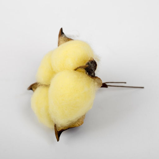 Сухие цветы хлопка, набор 3 шт., размер 1 шт. 6 6 см, цвет жёлтый - Simaland фото 2