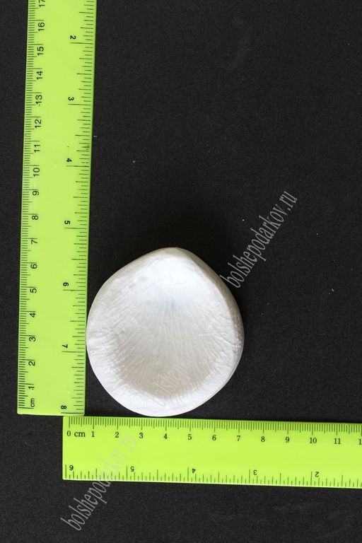 Молд лепесток, роза, М, арт. 0005 - No name фото 2