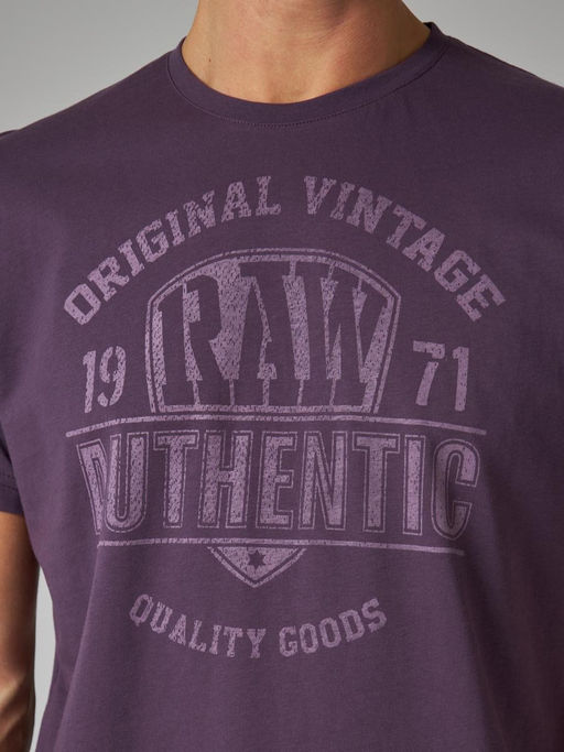 Футболка мужская арт. 02285/Authentic