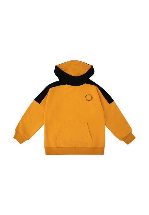 Джемпер (худи) с капюшоном д/мал. Дидрик - Oldos фото 4