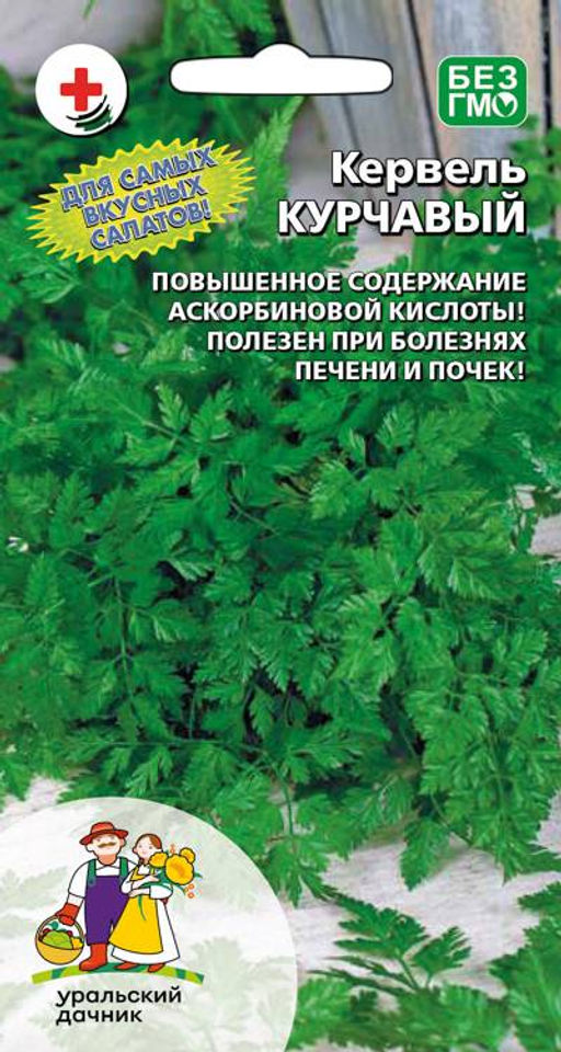 Кервель АЖУРНЫЙ (КУРЧАВЫЙ)