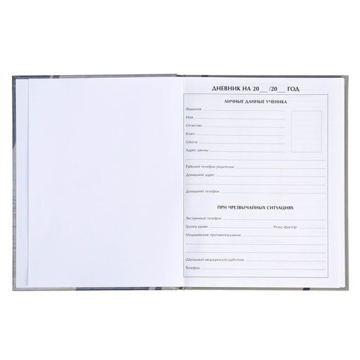 Цена за 3 шт. Дневник школьный для 5-11 классов, «Авто. Скетч», твёрдая обложка 7БЦ, глянцевая ламинация, 48 листов